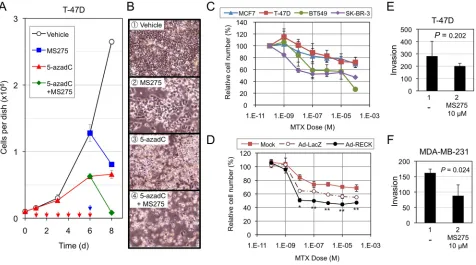 Figure 5: Effects of RECKonto 96-well plates (1 × 10then subjected to SF assay. Data (mean±SD) are presented as their ratios to the vehicle-treated controls