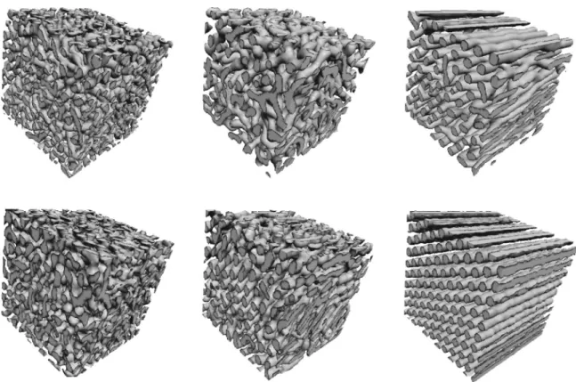 FIG. 2. Top: snapshots of the A 3 B 7 diblock copolymer melt. Bottom: snapshots of the 55% solution of A 3 B 9 A 3 triblock copolymer in a one-bead solvent
