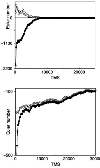 FIG. 3. The segregation parameter P as a function of time for the cylinder forming component