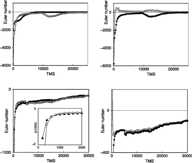 FIG. 8. Euler characteristics as a function of time of the cylinder forming component for the solution 共top兲 and melt 共bottom兲