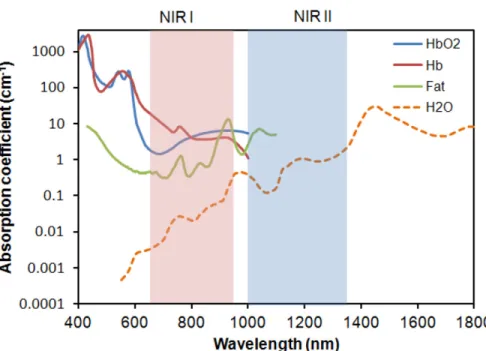 Figure 1.8.  Visualization of the optical window of tissue.  The visible and Near Infrared (NIR) absorbance  of a 1 cm barrier of blood (blue line), deoxygenated blood (red line), fat (green), and water (orange dots)