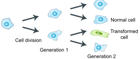Figure 2 epigenetic changes in tumor cells and tumor development.Note: The later stages in tumor development are supported by angiogenesis.