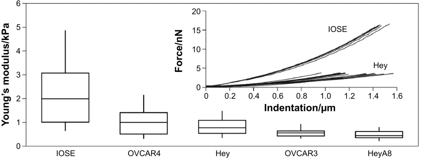 Figure 7 Representative force-indentation curves revealing the stiffness distribution of different ovarian cell lines from IOSe and Hey cells.Notes: Analyses revealed that ovarian cancer cells were generally softer and had lower intrinsic variability in st