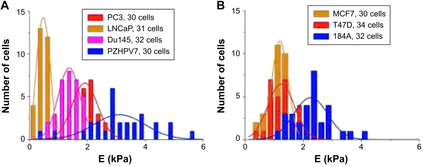 Figure 8 Young’s modulus distributions and Gaussian fits (as lines).Notes: The Young’s modulus distributions with fitted Gaussian functions (lines) obtained for (A) prostate (PC-3, LNCaP, and Du145) cancer cell lines and breast (MCF7 and T47D) and (B) comp