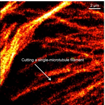 Figure 9 F1-ATPase is a rotary motor protein present in the cellular membrane as the water-soluble portion of ATP synthase.Notes: Changes in the rotary motor evaluated using atomic force microscopy