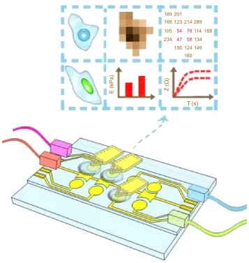 Figure 11 Schematic representation of a real-time user-friendly, nondestructive atomic force microscopy-based monitoring technique to be used in clinical settings.Notes: The different reservoirs on the chip design allow for sample analysis and characteristics associated with morphological, biophysical, and biochemical changes.
