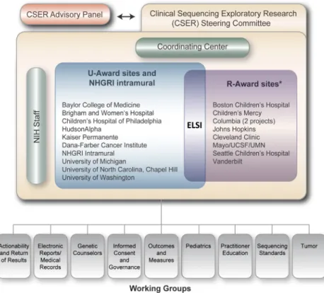 Figure 1. Schematic of the Structure of the CSER Consortium