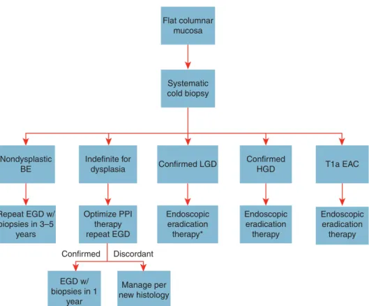 Figure 2 .      Management of nonnodular Barrett’s esophagus (BE). *Although endoscopic eradication therapy is associated with a decreased rate of  progression, surveillance upper endoscopy at 1-year intervals is an acceptable alternative