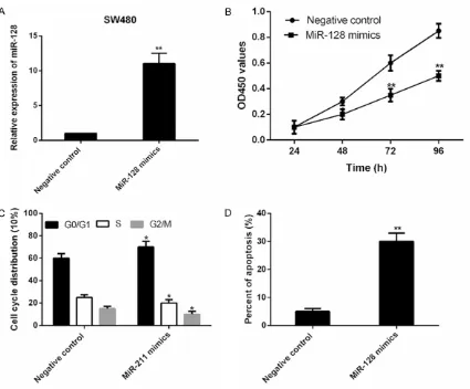 Figure 2. MiR-128 suppresses CRC cell proliferation, induces cell cycle arrest and cell apoptosis