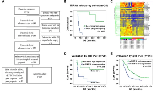 Figure 1: Screening, validation and evaluation of miR-891b as a prognostic predictor for PDAC
