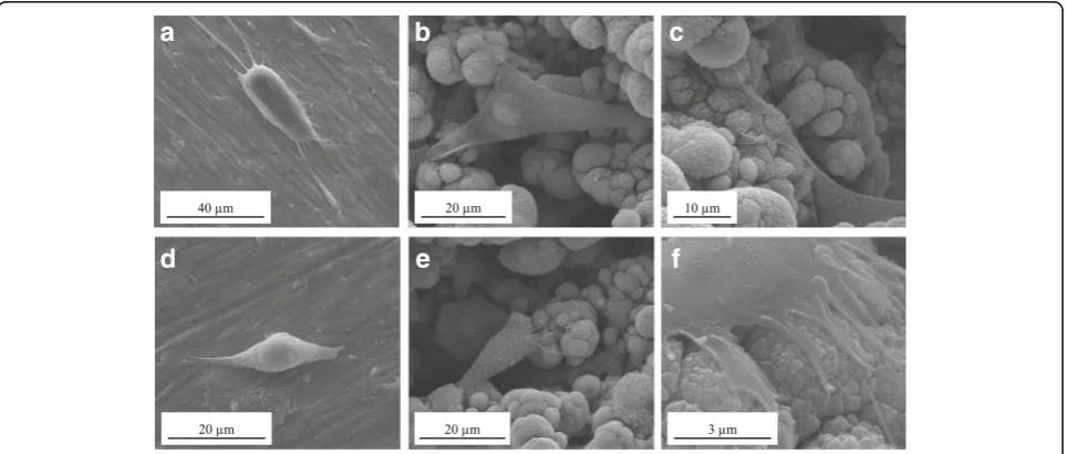 Fig. 2 X-ray diffraction spectra of Ti control (a), laser-processed titanium (LPT) produced using laser radiation at 132 J/cm2 fluence (b), LPT producedusing laser radiation at 210 J/cm2 fluence (c), and LPT produced using laser radiation at 235 J/cm2 flue