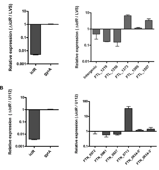 Figure 7. Transcript levels of genes found significantly changed in microarray analysis  comparing LVS and LVSΔiclR