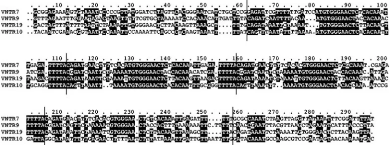 TABLE 2. VNTR loci from the L. interrogans serovar Lai genome used in this study