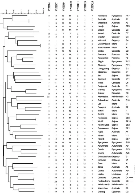FIG. 3. Dendrogram of the VNTR-typed serovars of L. interrogansserogroups of reference strains are also indicated