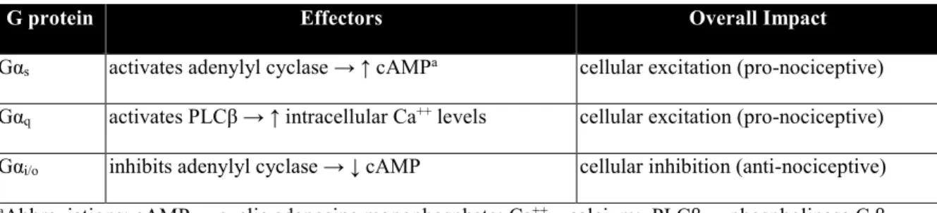 Table 1.1.  Common G-proteins and Their Intracellular Effects 