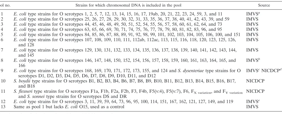 TABLE 2. E. coli and Shigella reference strains and PCR pools used for testing of E. coli O15-speciﬁc primers