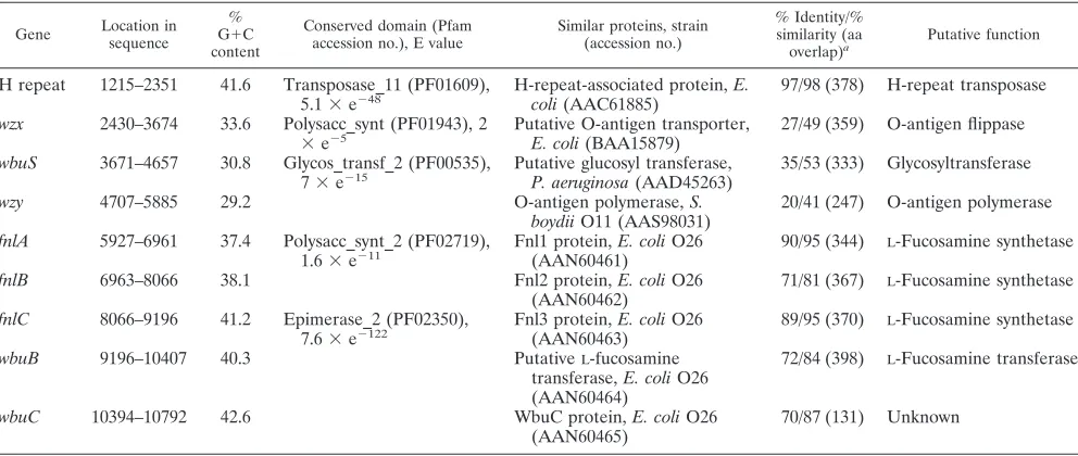 FIG. 1. O-antigen gene cluster of E. coli O15. All of the genes are transcribed in a direction from galF to gnd.
