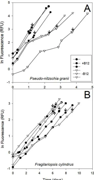 Figure 1.1. Natural log of relative fluorescence units over time for A) P. granii and B) F