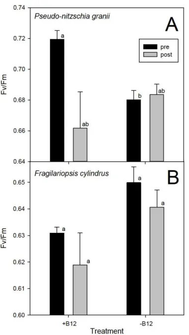 Figure 1.2. Photosynthetic efficiency (F v /F m ) comparisons pre and post addback of B 12  to A) P