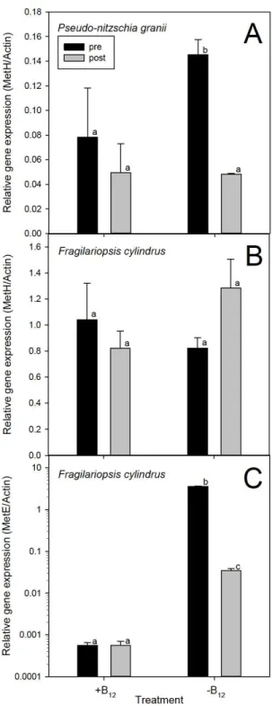 Figure 1.3. Relative gene expression of A) P.granii MetH, B) F. cylindrus MetH and C) F