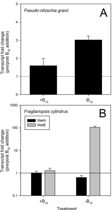 Figure 1.4. Transcript fold change in relative gene expression of A) P. granii MetH and B) F