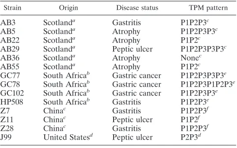 TABLE 1. H. pylori strains used in this study