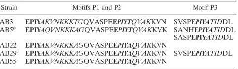TABLE 3. Nucleotide sequence analysis of H. pylori strainsa