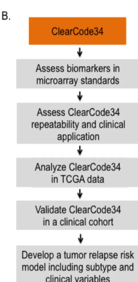 Figure 2.1. Workflow for biomarker discovery and order of analyses.  