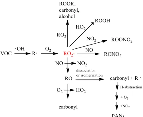 Figure 1-1. Simpliﬁed representation for the photooxidation of a generic VOC 