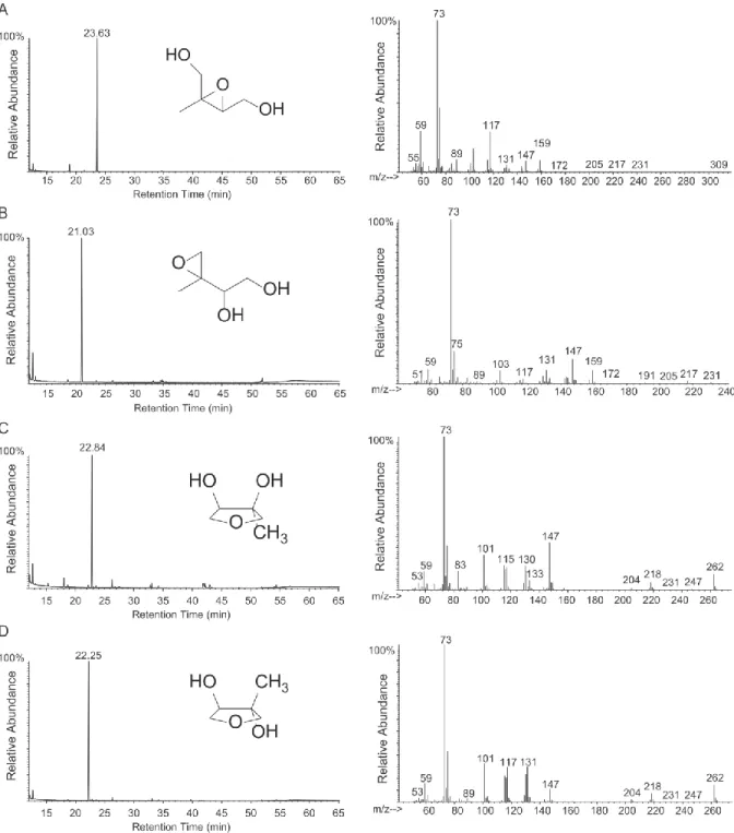 Figure 2-1. GC/MS TIC traces and mass spectra of TMS-derivatized authentic standards. (A)  cis-β-IEPOX,  (B)  IEPOX,  (C)  cis-3-MeTHF-3,4-diol,  (D)  trans-3-MeTHF-3,4-diol