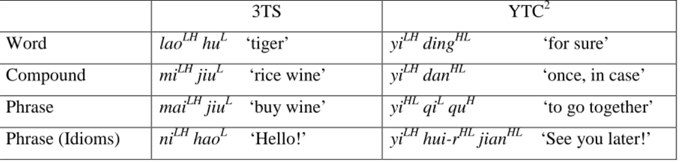Table 2.2. Similarity between 3TS and YTC in Morpho-syntax 