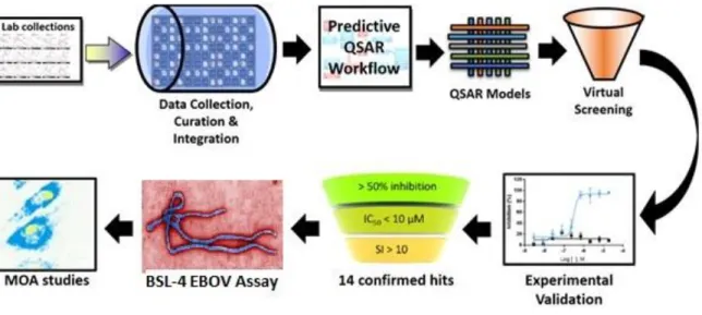 Figure 1.1. Overall study design. The present study synergistically incorporates computational  modeling and experimentation