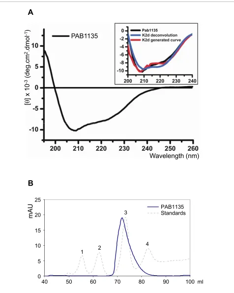 Figure 2 Structure analysis of PAB1135. (A) Circular dichroism analysis of 2 mg/ml PAB1135