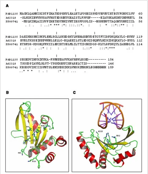 Figure 4 Sequence alignment of PAB1135its concave face on one side and α-helices on the other