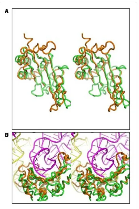 Figure 5 Superposition of the structures of the PAB11351JJ2ange) showing the β-sheet equivalence