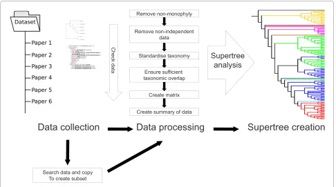 Figure 2 Chaining of STK scripts to produce a "processing pipeline". Data (right - both trees and associated XML meta-data) are processed via the STK scripts