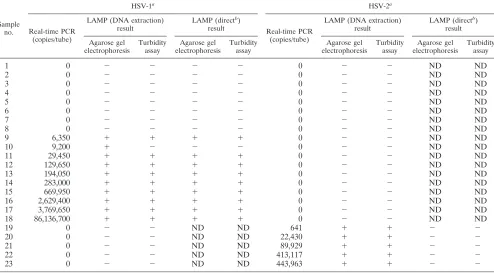 TABLE 2. Comparison between HSV type-speciﬁc real-time PCR and HSV type-speciﬁc LAMP for detection of HSV DNA in swab samplescollected from patients with gingivostomatitis or vesicular skin eruptions (samples 1 to 18) and genital HSV infection (samples 19 to 23)