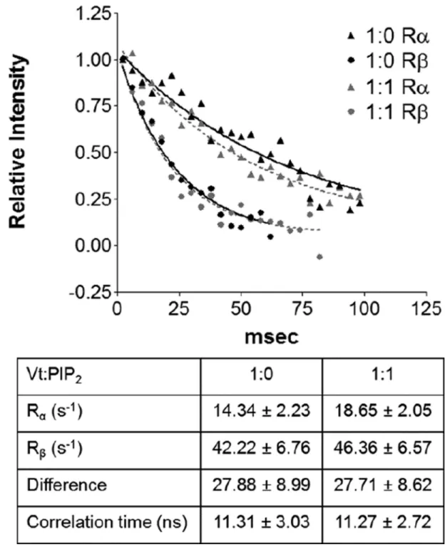Figure 4. Rotational correlation time of Vt is not altered upon binding of PIP 2 -C8