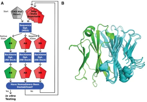 Figure 1. Negative State Repertoires (NSRs)