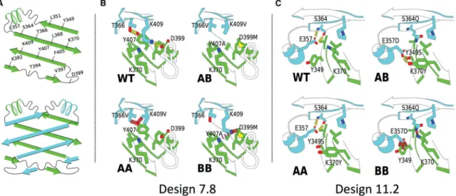 Figure 2. CH3 Interface Designs