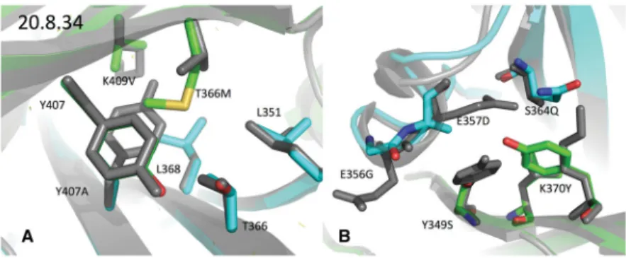 Figure 5. Comparison of design 20.8.34’s crystal structure with WT
