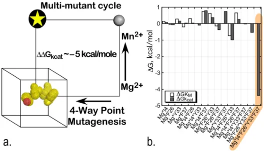 FIG. 6. Combinatorial mutagenesis of four D1 Switch residues identify a strong, 5-way interaction (shaded amber) imply- imply-ing that all four mutated residues move coordinately with the active-site Mg 2þ ion in the transition state for tryptophan  acti-v