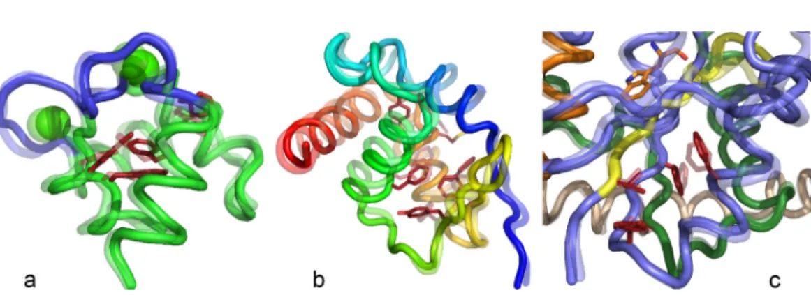 FIG. 6. Conformational transition state structures for Calmodulin Ca 2þ -binding domain (a), Myosin VI converter domain rigor to Prepowerstroke (b), and the TrpRS induced-fit (c) transition states