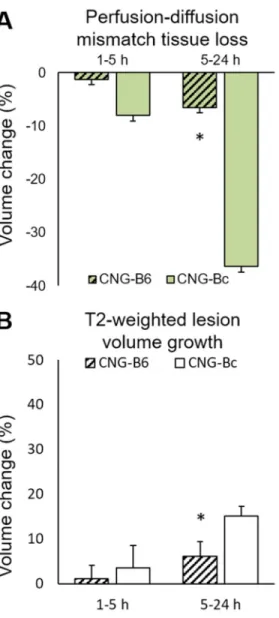 Figure 6. CNG-B6 shows smaller perfusion-diffusion mismatch tissue loss and T 2 -weighted  lesion volume growth after pMCAo