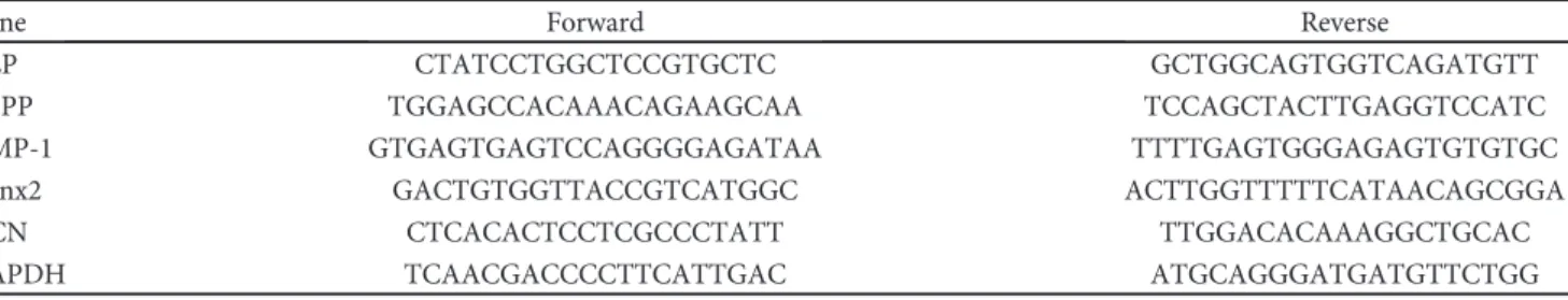 Figure 1: DPCs phenotype via ﬂow cytometry. The expression of a series of cell surface markers associated with the mesenchymal stem cell (MSC) phenotype was investigated using ﬂow cytometry