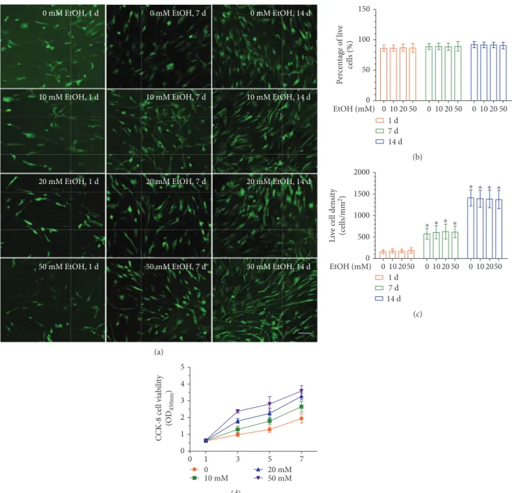 Figure 2: Eﬀect of EtOH on cell viability and proliferation of DPCs. (a) Representative live/dead images of EtOH-treated DPCs after days 1, 7, and 14 of culture
