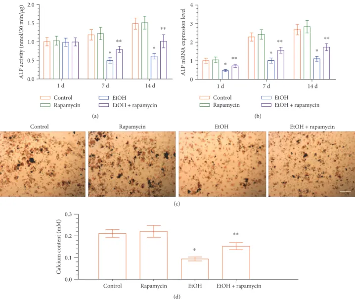 Figure 4: Eﬀect of EtOH-induced ALP activity and mineralized nodule formation in DPCs