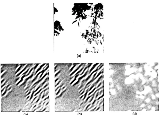 Fig.  4.  The  envelope  of the  response  of one channel.  Some  of the  calculations  in  this  paper  are  based  on  the  envelope  of the  response  of the sensors