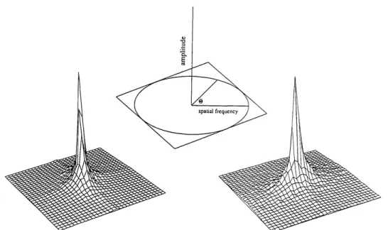 Fig.  7.  Two-dimensional  amplitude  spectra  for  two  images  from  Fig. 6  (A and  D)