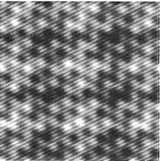 Fig.  10.  Energy  distribution  for  two  artificial  images.  Image  1 consists  of random  points  with  a probability  of 0.01